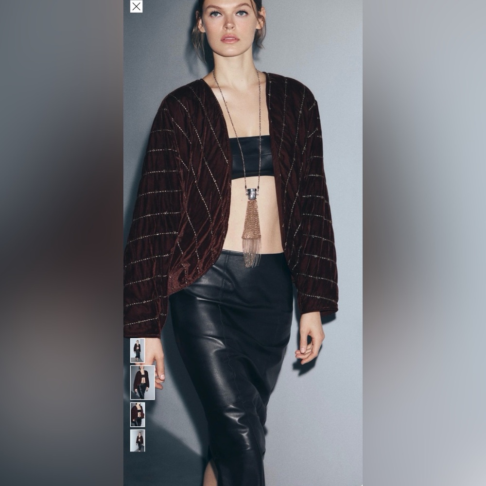 Zara Brown Jacket with Gold Accents - Picture 2 of 5
